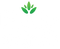 Holy Kitchen - Home